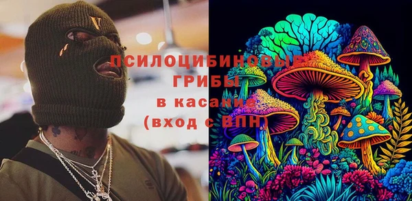 мяу мяу мука Горно-Алтайск