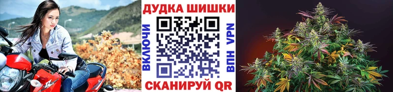 Конопля гибрид  Добрянка 